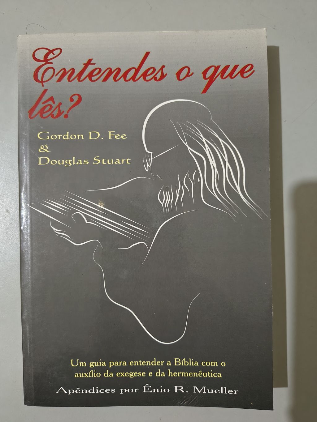 Entendes o que Lês? - Gordon D. Fee & Douglas Stuart